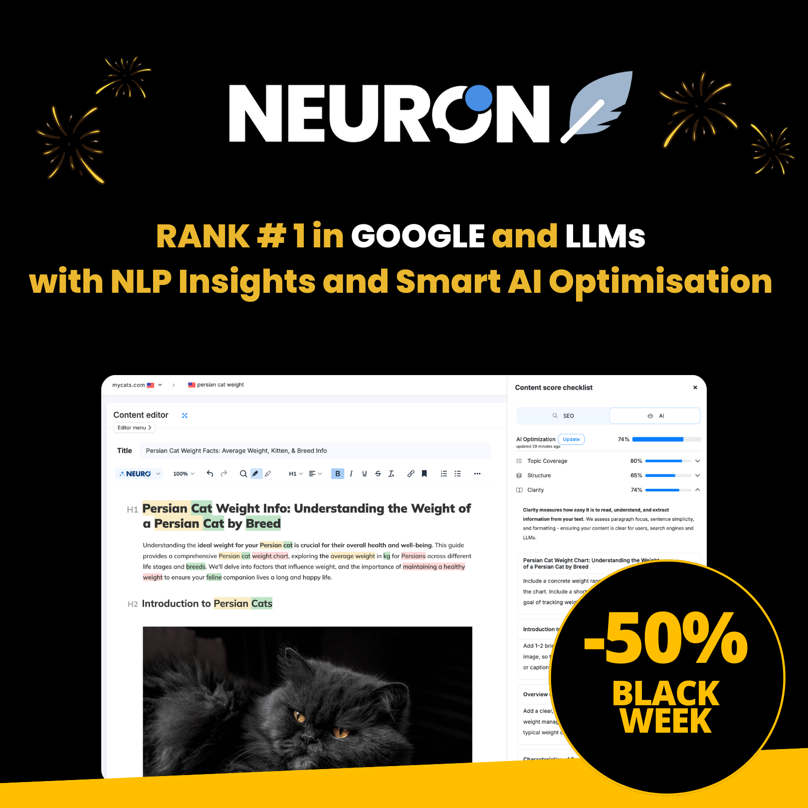 NeuronWriter